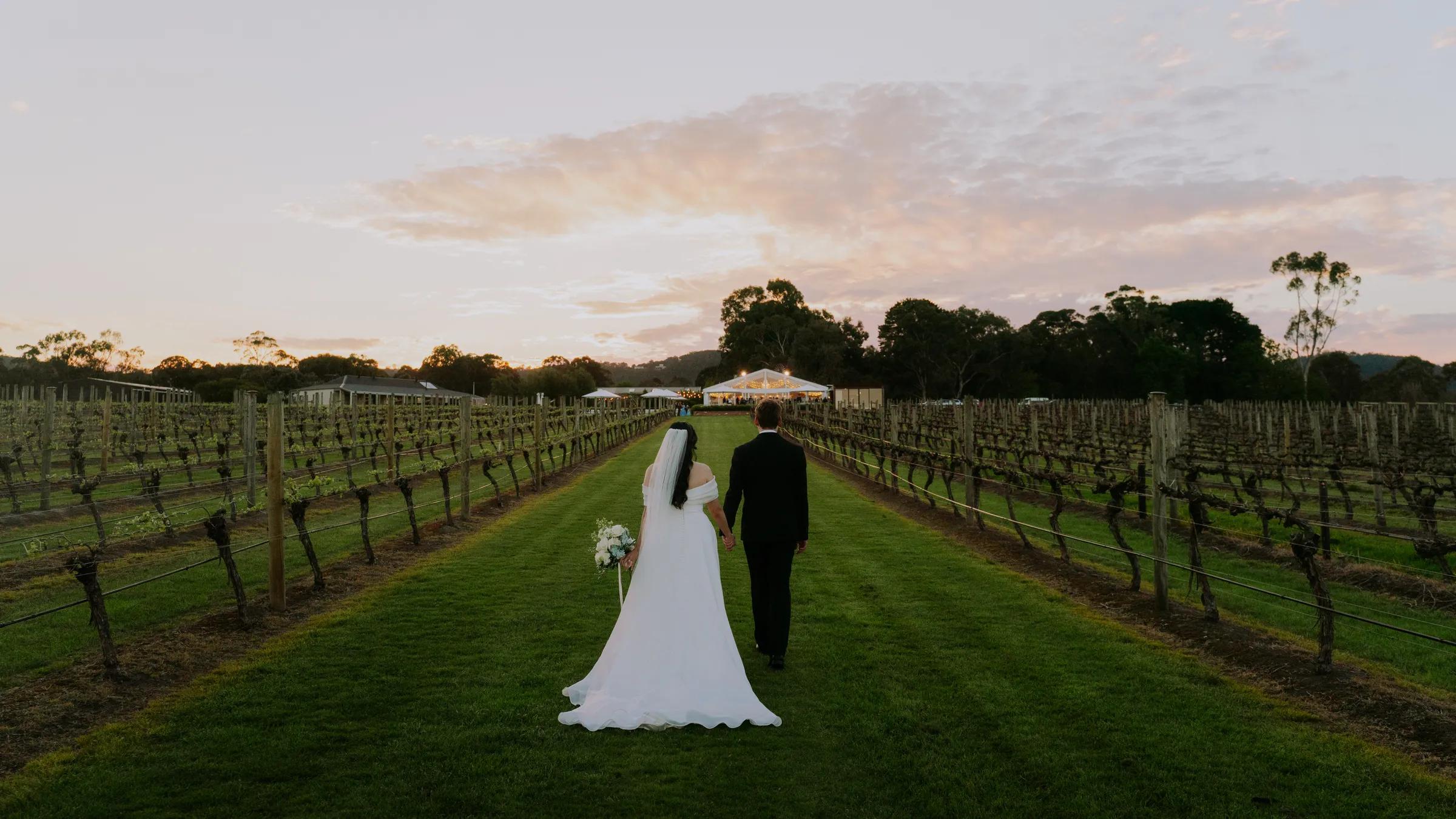 Gaby & Alex at Acacia Ridge Winery, Yarra Valley